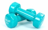 Гантели для фитнеса с виниловым покрытием Zelart Beauty(2x3кг)